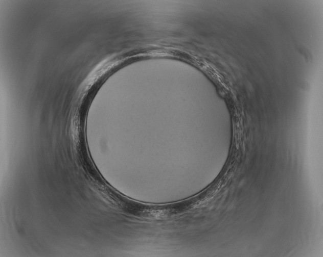 X0000112970295200909241332