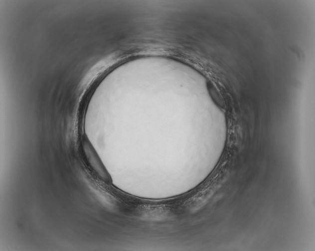 X0000112970296200909241332