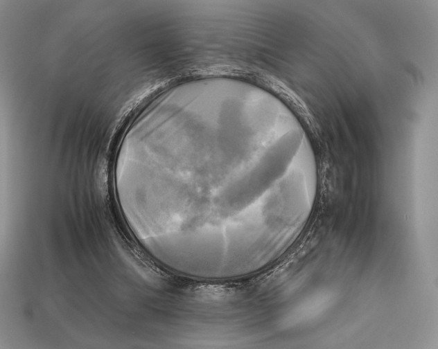 X0000112970298200909241332