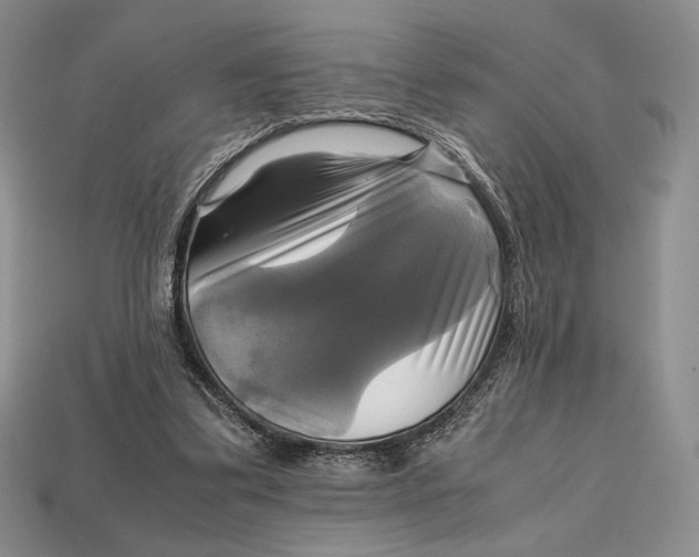 X0000112970299200909241332