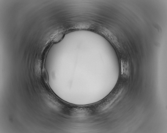 X0000112970300200909241332