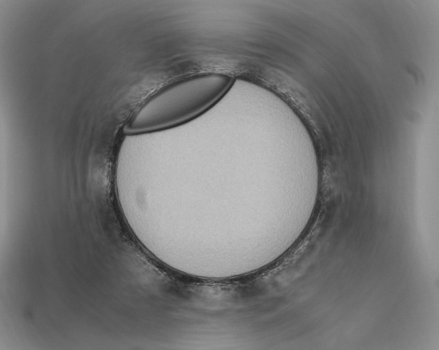 X0000112970305200909241332
