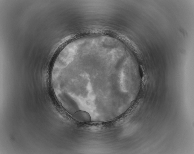 X0000112970306200909241332