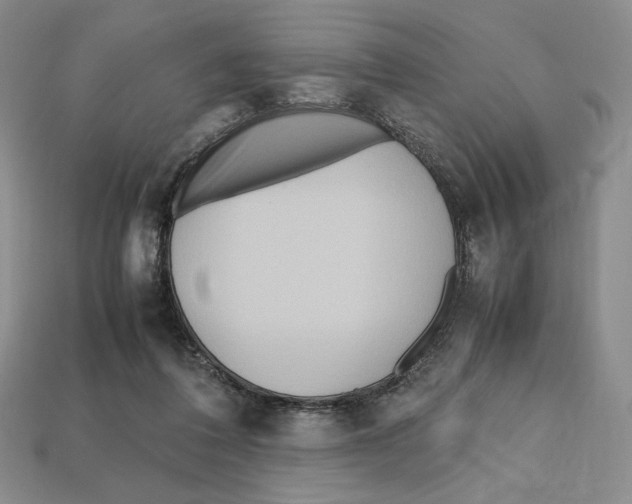 X0000112970308200909241332