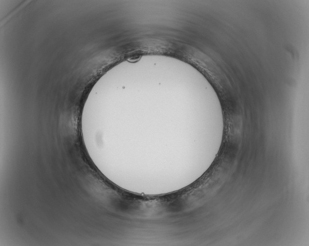 X0000112970309200909241332