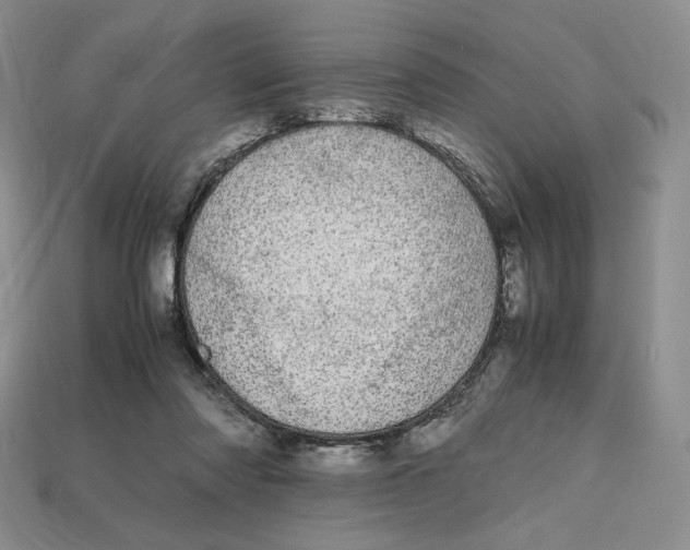 X0000112970310200909241332