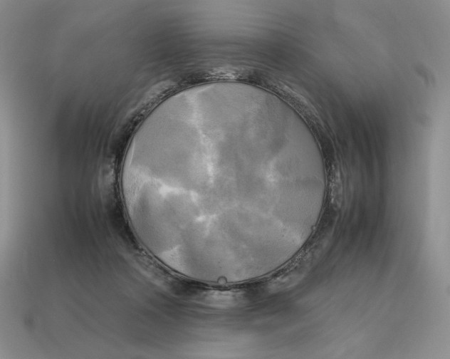 X0000112970314200909241332