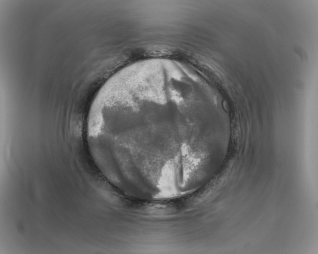 X0000112970315200909241332