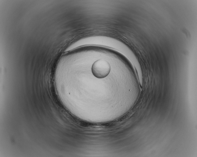 X0000112970316200909241332