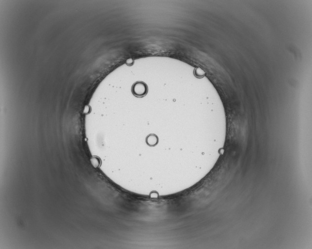 X0000112970317200909241332