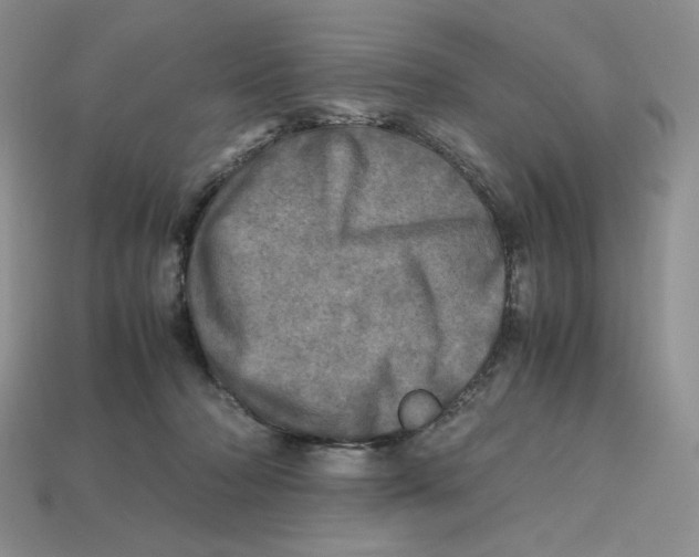 X0000112970318200909241332