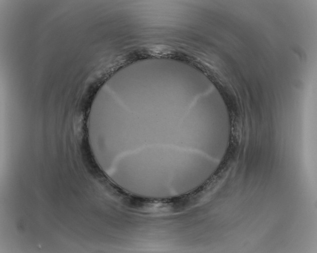 X0000112970319200909241332