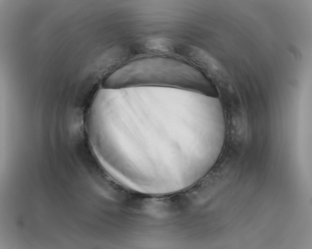 X0000112970320200909241332