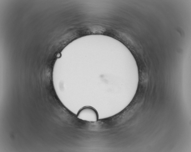 X0000112970321200909241332