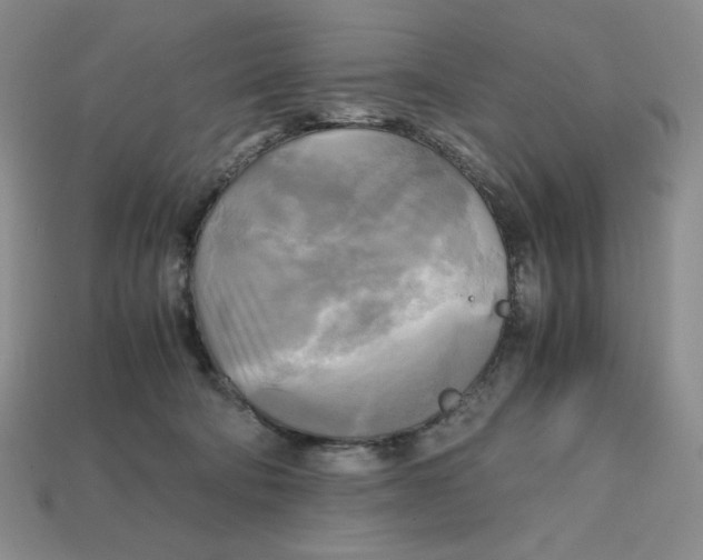 X0000112970322200909241332