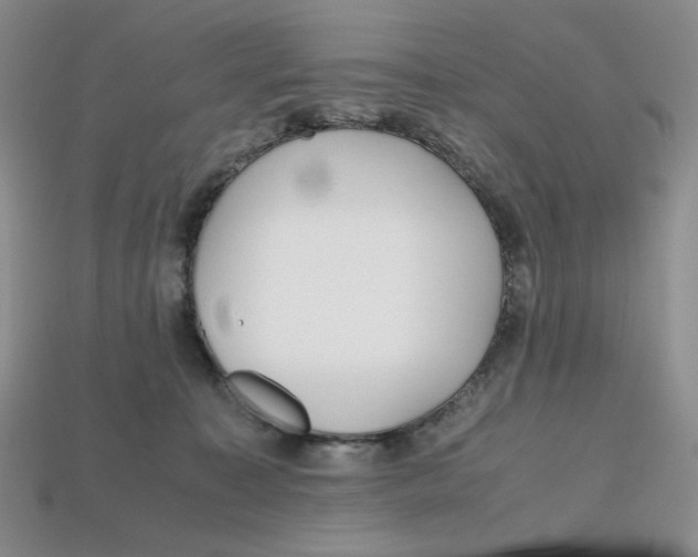X0000112970323200909241332