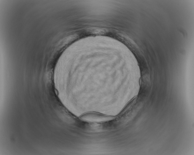 X0000112970325200909241332