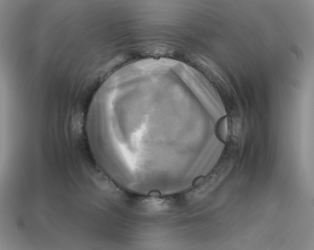 X0000112970326200909241332