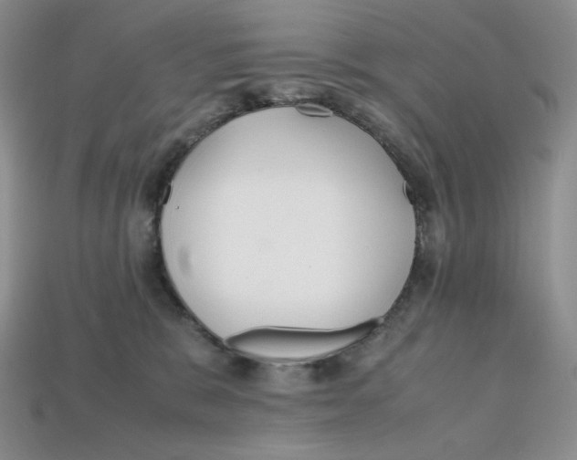 X0000112970327200909241332