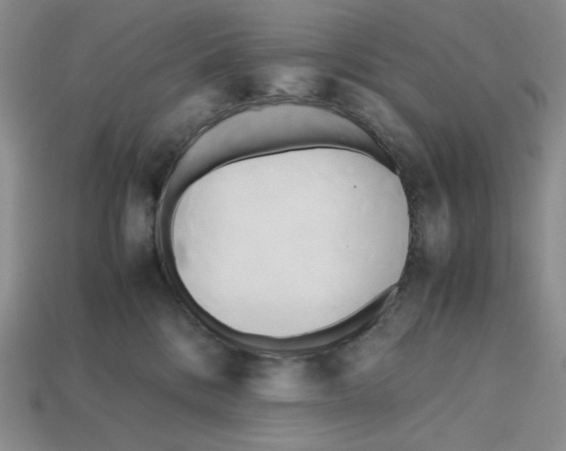X0000112970328200909241332
