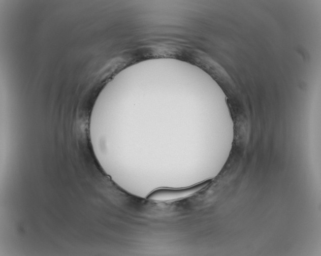 X0000112970329200909241332