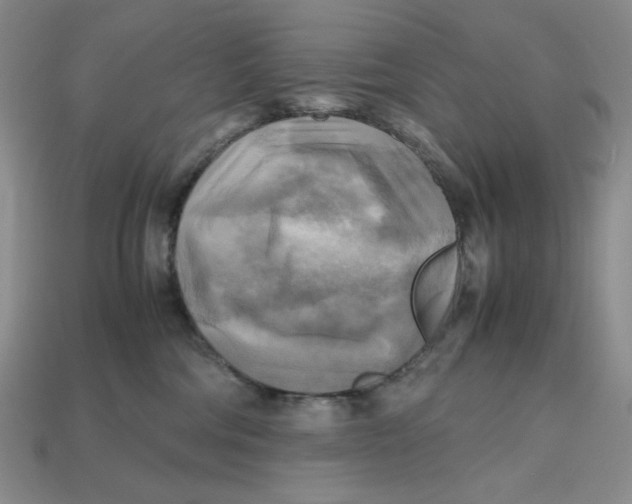 X0000112970330200909241332
