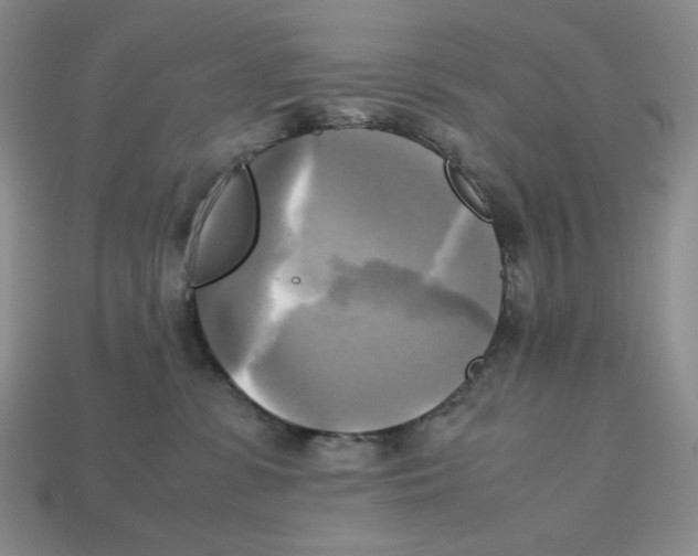 X0000112970331200909241332