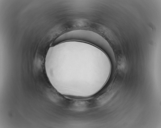 X0000112970332200909241332