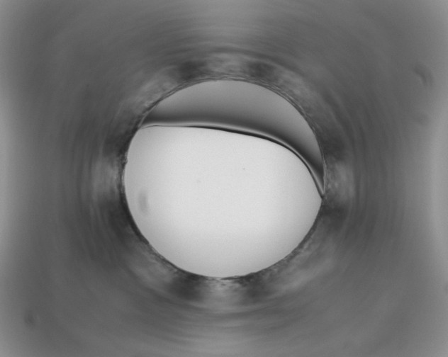 X0000112970333200909241332
