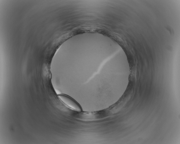 X0000112970335200909241332