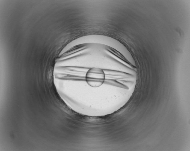 X0000112970336200909241332