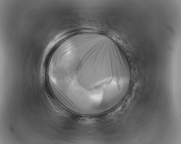 X0000112970343200909241331