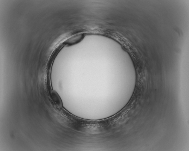 X0000112970344200909241331