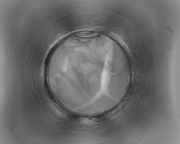 X0000112970346200909241331