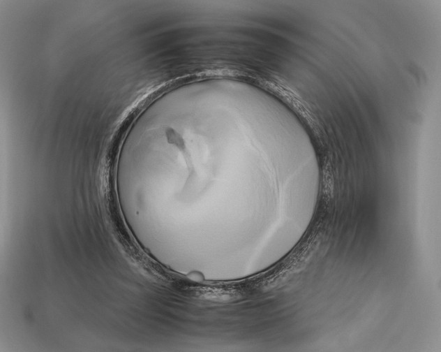 X0000112970347200909241331