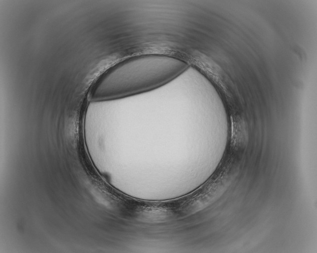 X0000112970348200909241331