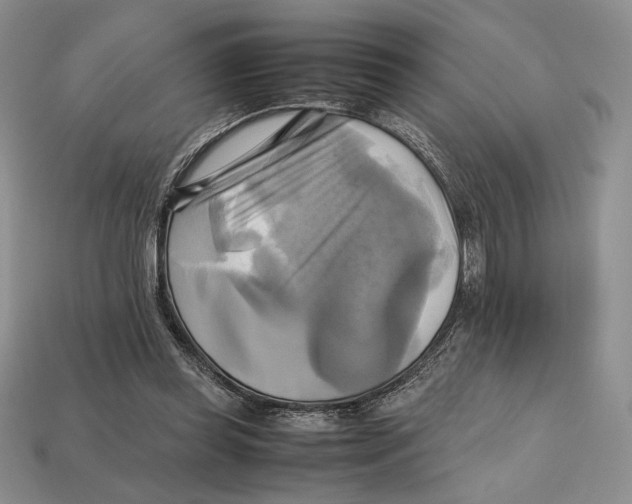 X0000112970349200909241331