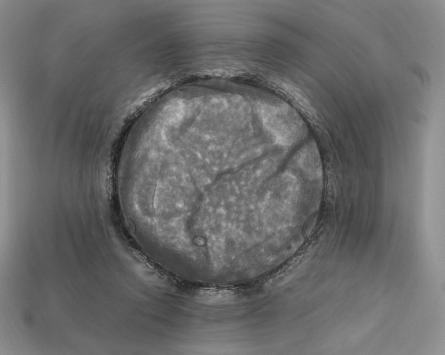 X0000112970354200909241331