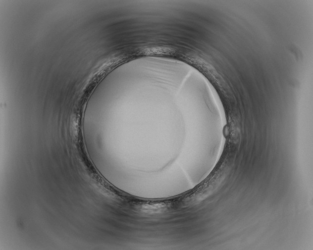 X0000112970357200909241331