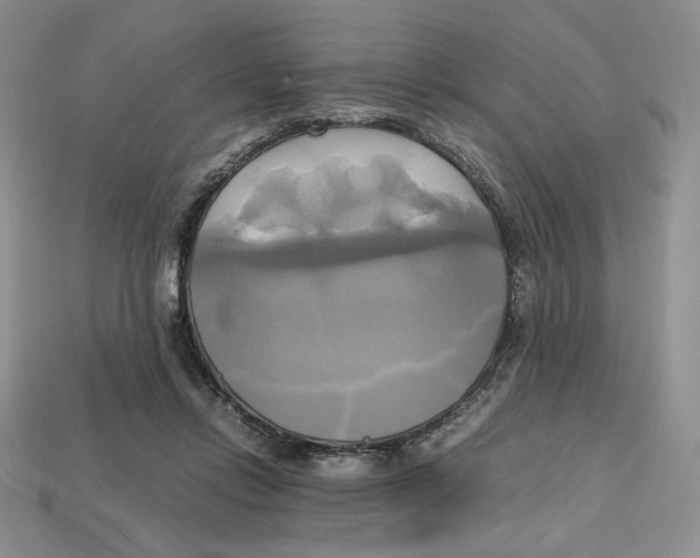 X0000112970358200909241331