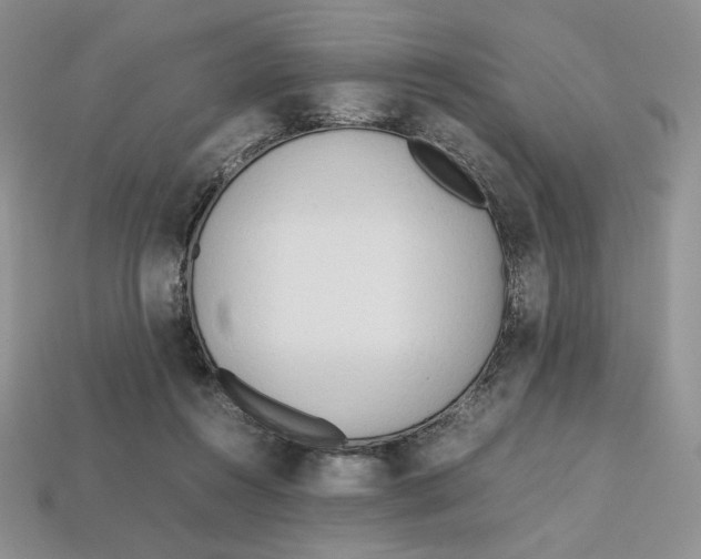 X0000112970360200909241331