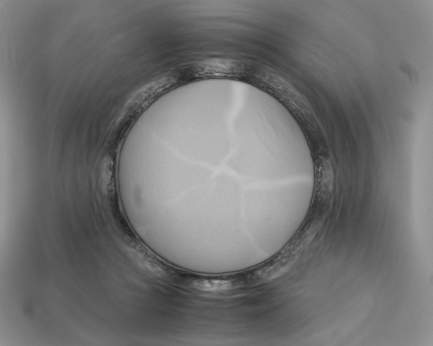 X0000112970361200909241331