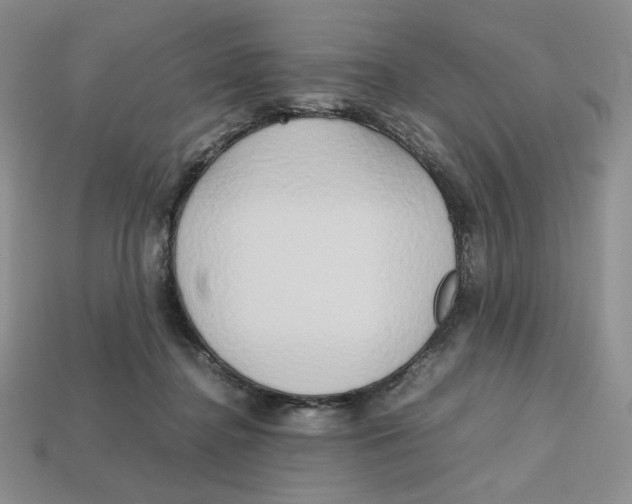 X0000112970364200909241331
