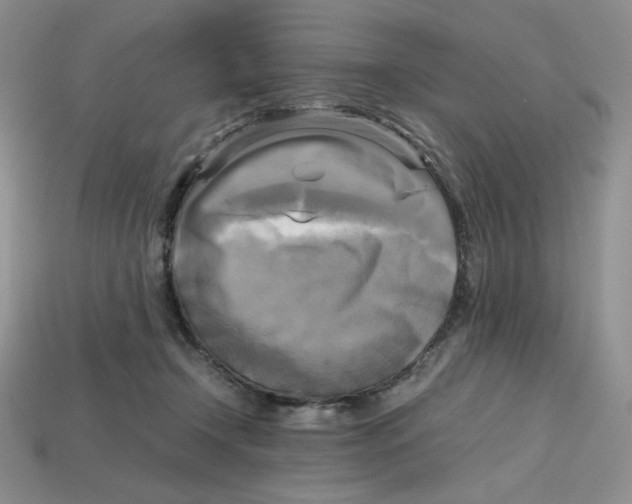 X0000112970366200909241331