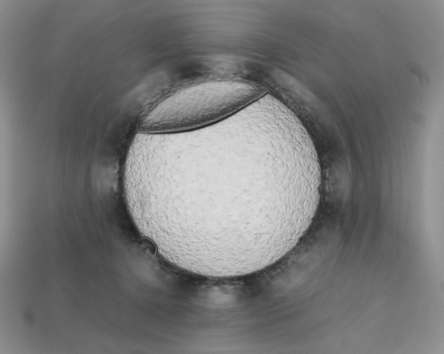 X0000112970368200909241331