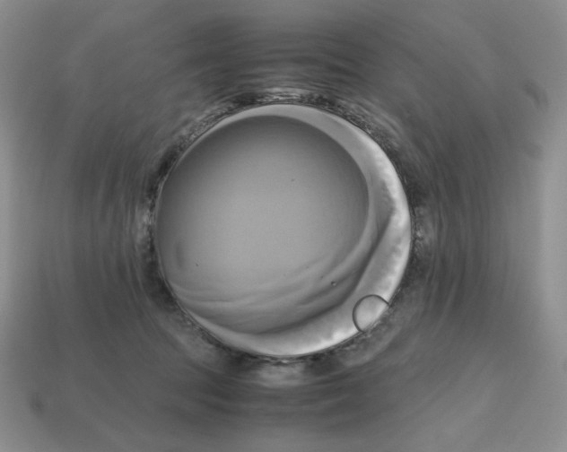 X0000112970369200909241331