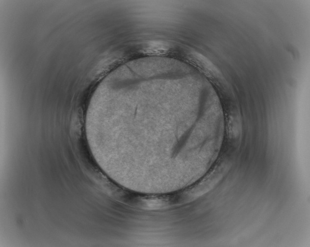 X0000112970370200909241331