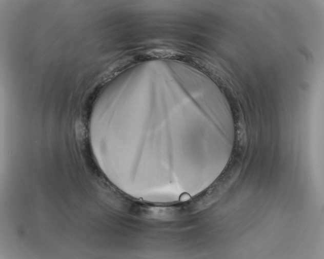 X0000112970371200909241331