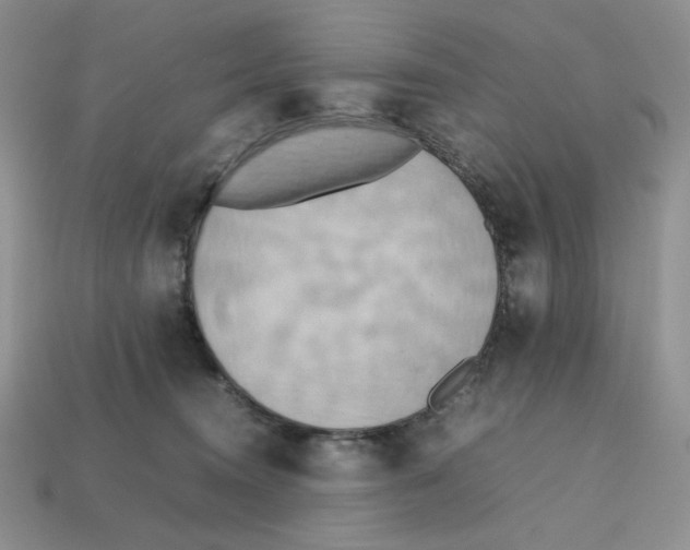 X0000112970372200909241331