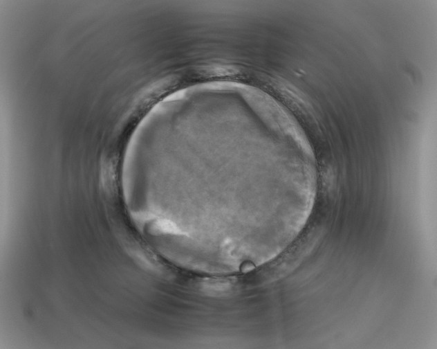 X0000112970373200909241331